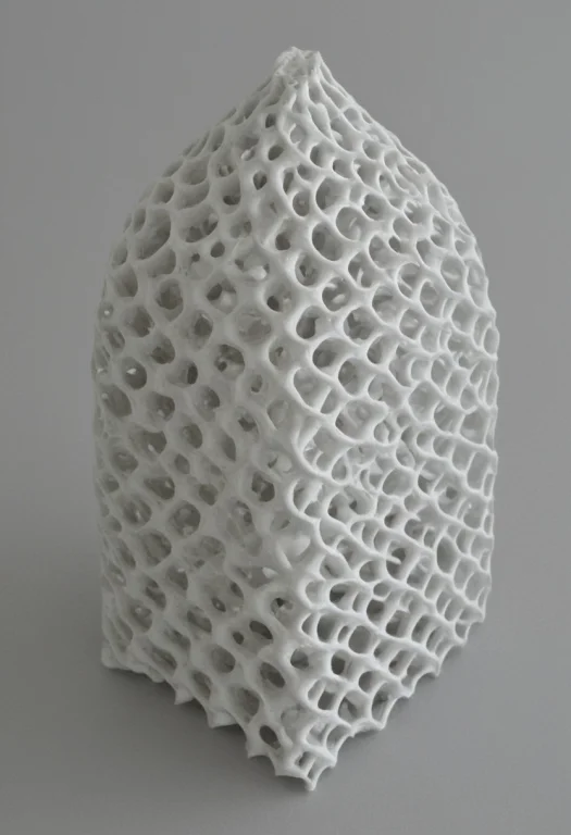 Gyroid Structure, Gyroid Bear