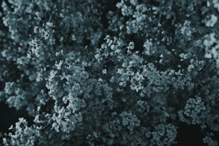 Floral Print,loravalyrian Lord0.0,dark Asdxohnxs. Cinematic...