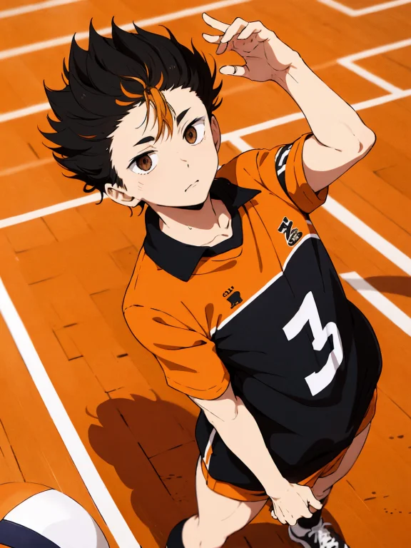Lorayuu Nishinoya V30.6 Yuu Nishinoya ,solo,1boy, Masterpiec...