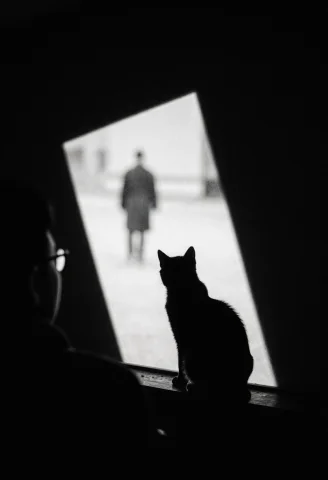 A Dark Silhouette Of A Seated Cat Gazes Toward A Bright, Til... — Stable Diffusion AI Prompt: A dark silhouette of a seated cat gazes toward a bright, tilted rectangular open...