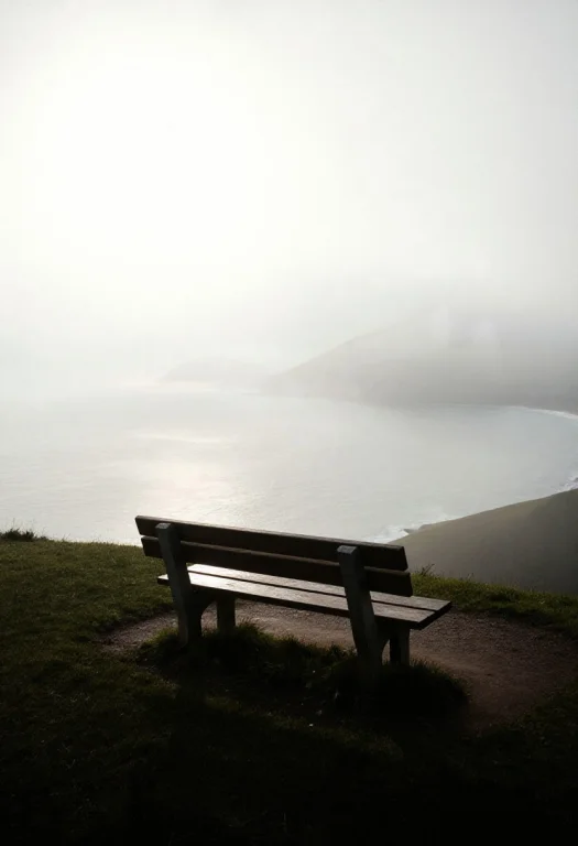 A Hilltop Bench Overlooking A Sea Of Fog, Rim Lighting, Grai...