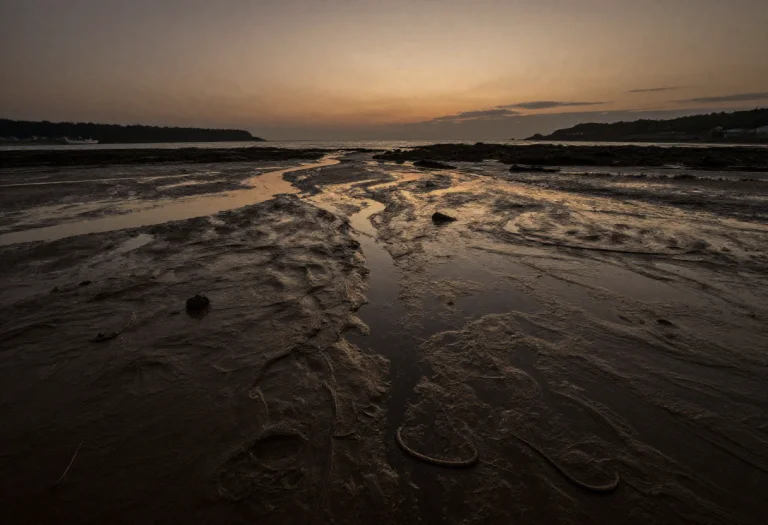 A Quiet Cove With Tide Pools At Low Water, Impasto Texture,...