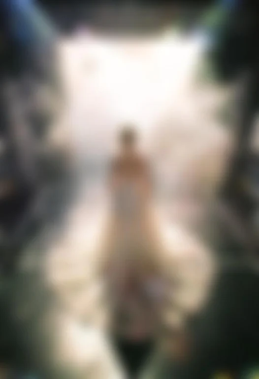 A Gown Of Translucent Fabric Backlit On Stage, Raw Photo, Mi...