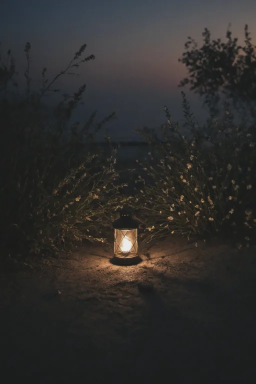 Evening Atmosphere,lorabehance 4k0.0,behance. Polished Detai...