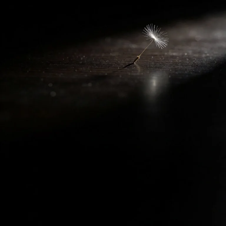 A Single White Dandelion Seed Floats Above A Dark Polished T...
