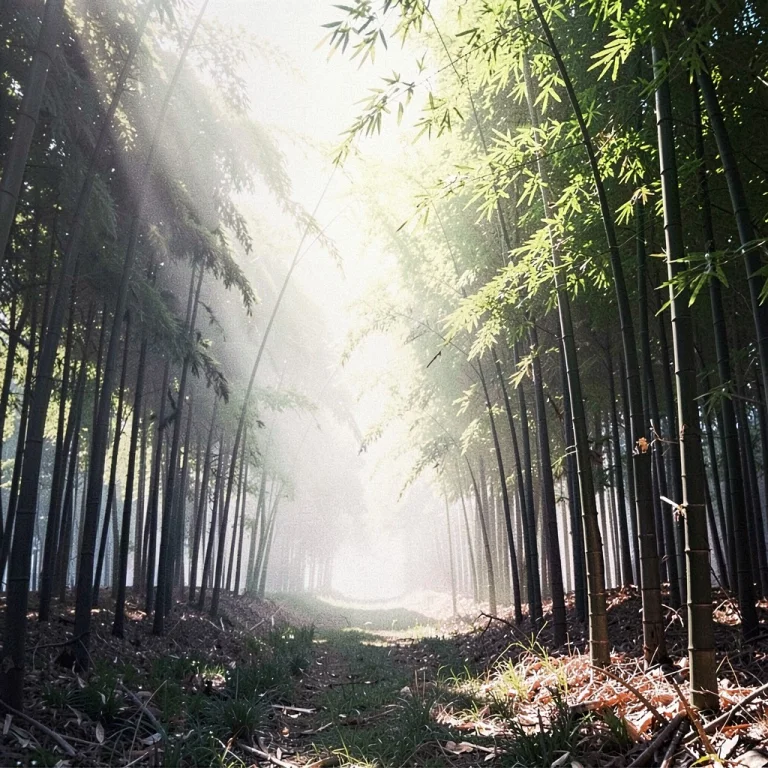 A Bamboo Grove In Early Morning Fog, Portrait Photography, H...