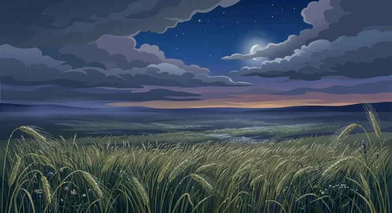 A Vast Summer Rye Field Immediately After A Passing Rainstor...