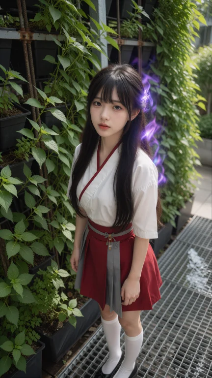 Rei Hino,      5000k  25165cm5000k348k