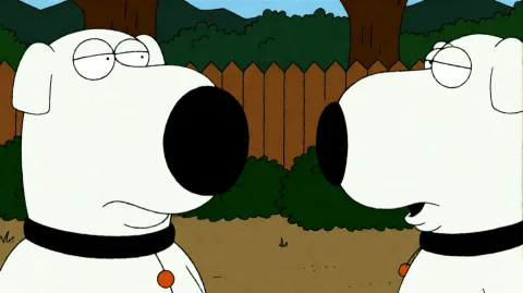 Fmlygyssn01, A White Dog With A Black Nose And A Black Colla... — Stable Diffusion AI Prompt: fmlygyssn01, A white dog with a black nose and a black collar featuring.