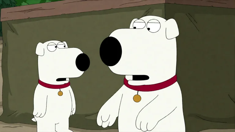Fmlygyssn20, A White Dog With A Red Collar Stands On Its Hin...