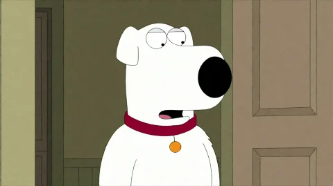 Fmlygyssn17, A White Dog With A Red Collar And A Yellow Tag... — Stable Diffusion AI Prompt: fmlygyssn17, A white dog with a red collar and a yellow tag stands.