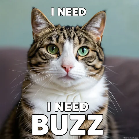 Cat Said I Need Buzz — Stable Diffusion AI Prompt: cat said "I need buzz"