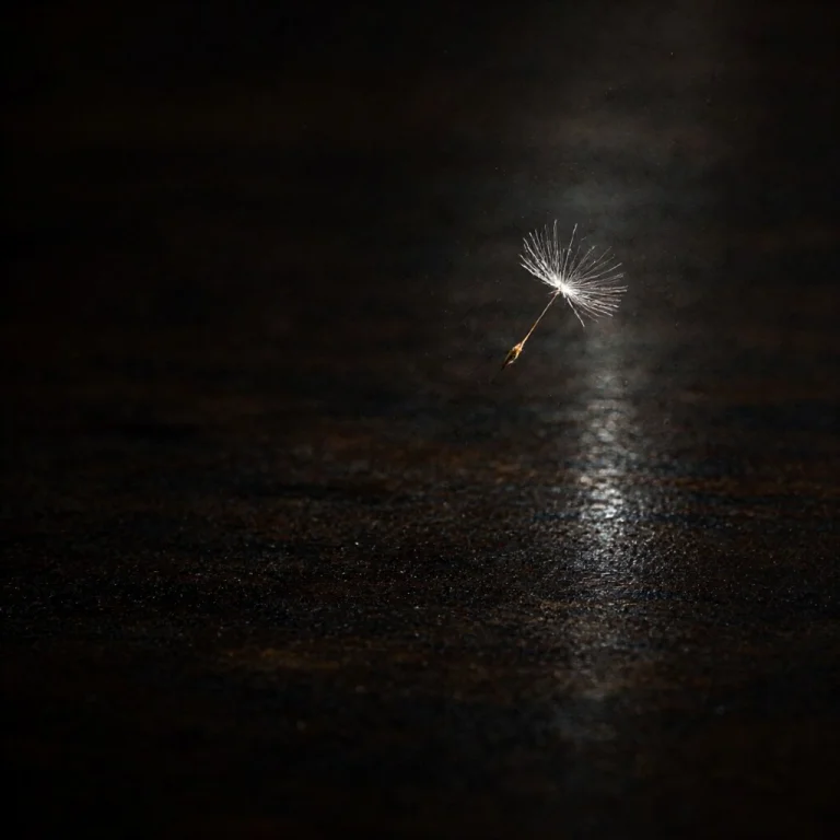Lorapqwenimage218stepv011.0 A Single White Dandelion Seed Fl...