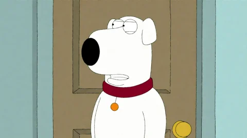 Fmlygyssn06, A White Dog With A Red Collar And A Yellow Tag... — Stable Diffusion AI Prompt: fmlygyssn06, A white dog with a red collar and a yellow tag stands.