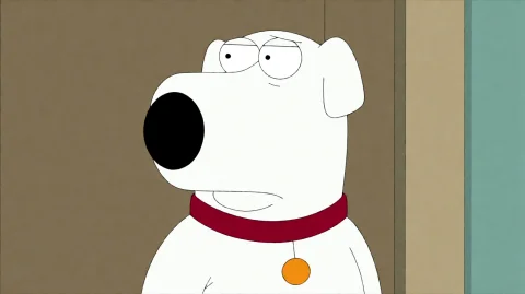 Fmlygyssn11, A White Dog With A Red Collar And A Gold Tag St... — Stable Diffusion AI Prompt: fmlygyssn11, A white dog with a red collar and a gold tag stands.