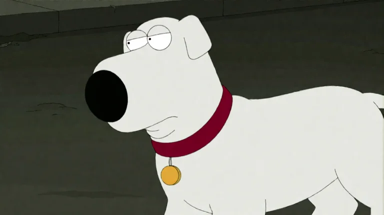 Fmlygyssn07, A White Dog With A Red Collar And A Gold Tag St...