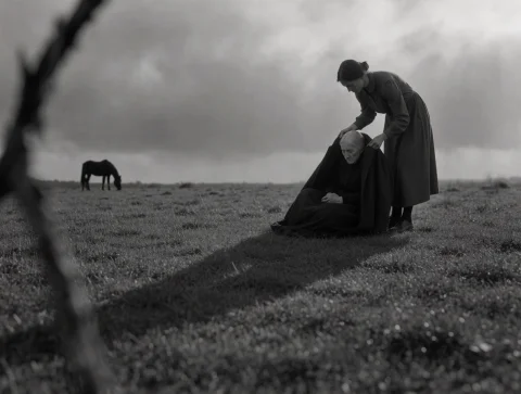 A Moody Black And White Photograph Of A Grassy Field Beneath... — Stable Diffusion AI Prompt: A moody black and white photograph of a grassy field beneath a heavy overcast sk...