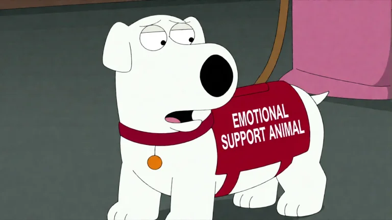 Fmlygyssn18, A Small White Dog Wearing A Red Vest Labeled Em...