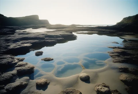 A Quiet Cove With Tide Pools At Low Water, Film Photography,... — SDXL AI Prompt: a quiet cove with tide pools at low water, film photography, rim lighting, shall...