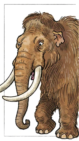 A Cartoon Caricature Illustration Of A Wooly Mammoth By Davi... — Stable Diffusion AI Prompt: a cartoon caricature illustration of a wooly mammoth by David Macaulay