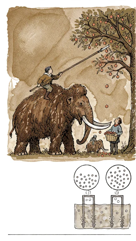 A Person On The Back Of A Woolly Mammoth, Wielding A Long Po...