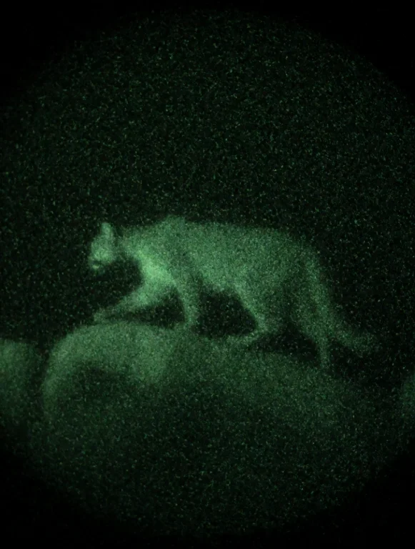 Nvdstyle, A Circular Monochromatic Green P43 Night Vision Vi...