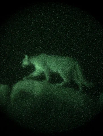 Nvdstyle, A Circular Monochromatic Green P43 Night Vision Vi... — Stable Diffusion AI Prompt: nvdstyle, a circular monochromatic green P43 night vision view with dark vignett...