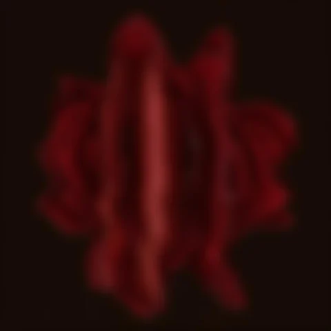 Scanmelt, A Deep Red Flower With Layered Petals, Vertical Li... — Stable Diffusion AI Prompt: scanmelt, a deep red flower with layered petals, vertical liquid distortion, rip...