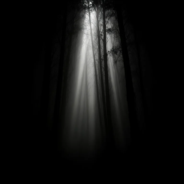 A Conceptual Negative Space Image. A Solid, Pitch-black Canv...
