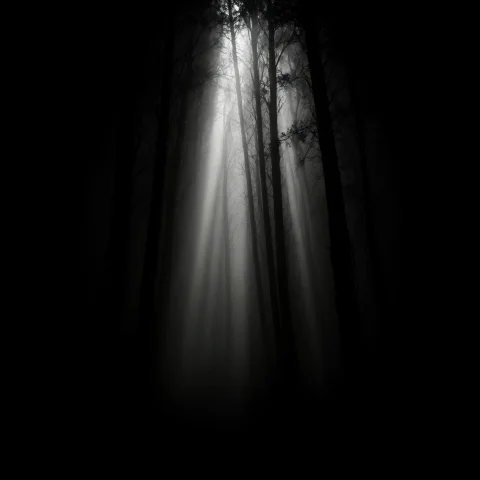 A Conceptual Negative Space Image. A Solid, Pitch-black Canv... — Stable Diffusion AI Prompt: A conceptual negative space image. A solid, pitch-black canvas. From the top, th...