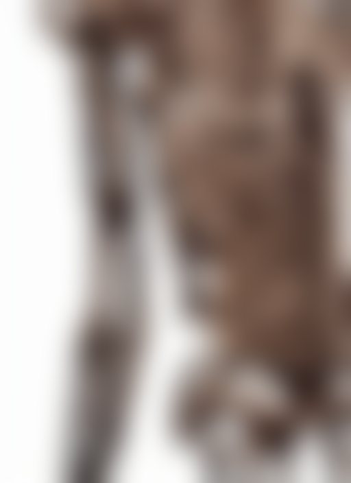 A Biomorphic Techno - Organic Biomechanical Emaciated Torso...