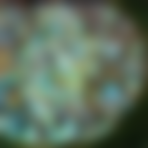 Photo Centric Diatoms