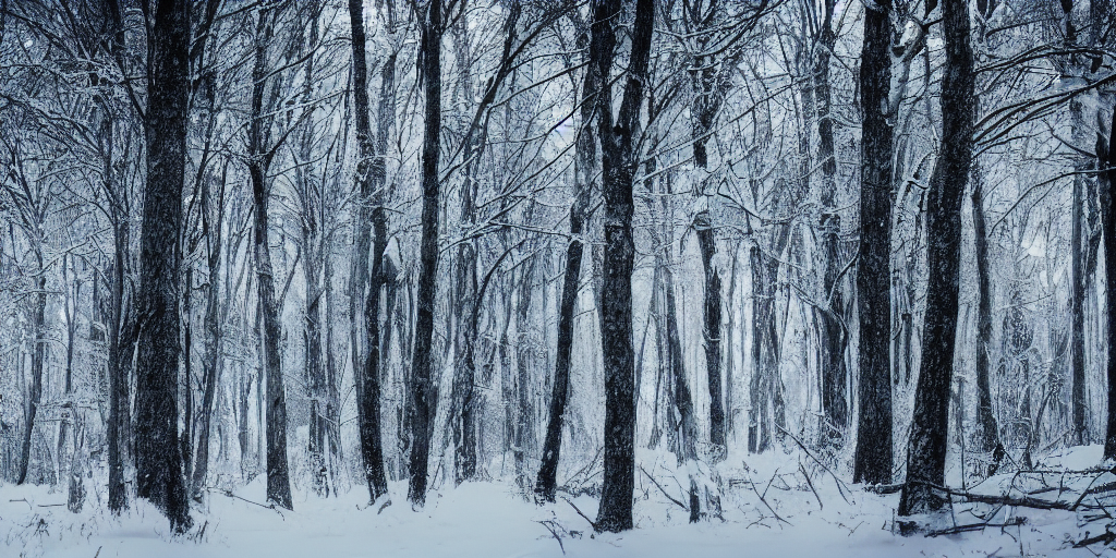 Survival In A Winter Forest, Cinematic, Cold Tone, — Stable Diffusion AI Prompt: survival in a winter forest, cinematic, cold tone,